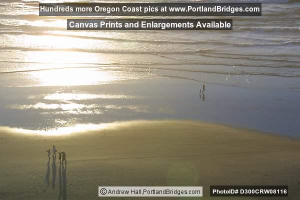 Newport, Oregon Nye Beach Photo D300CRW08116