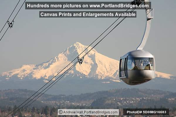 Portland Aerial Tram, Mt. Hood, Best Portland Pictures