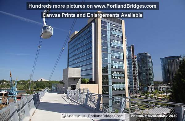Aerial Tram, OHSU South Waterfront, From Gibbs Pedestrian Bridge (Portland, Oregon)