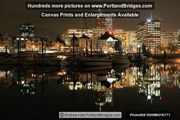 Portland At Night, Reflections