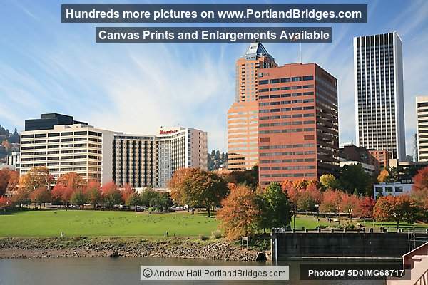 Waterfront, Fall Leaves, Portland Buildings