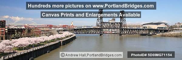 Waterfront Blossoms, Steel Bridge, Two MAX Trains, Rose Garden Arena (Portland, Oregon)