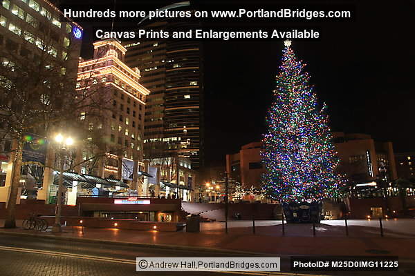 2012 Pioneer Courthouse Square Christmas Tree, Night (Portland, Oregon)