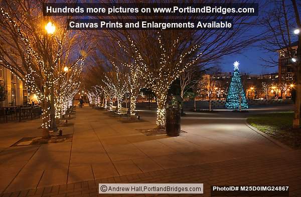 Pearl District Jamison Square, Christmas Lights, Portland