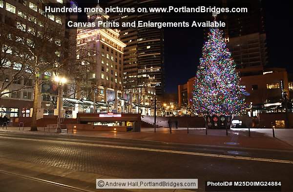 Pioneer Courthouse Square Christmas Tree 2014, Night, Portland