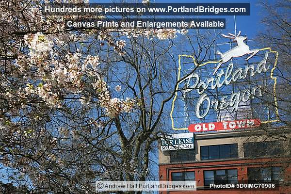 Portland, Oregon Sign, Waterfront Blossoms