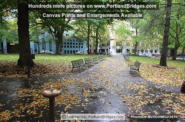 Chapman Square, Fall Leaves, Downtown Portland