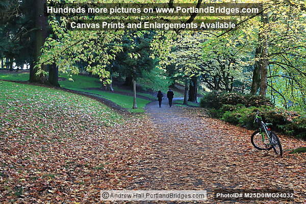 Laurelhurst Park, Fall Leaves (Portland, Oregon)