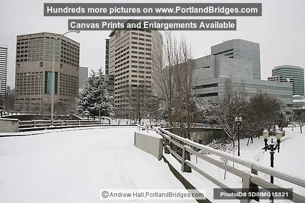Portland Snow, Portland Buildings