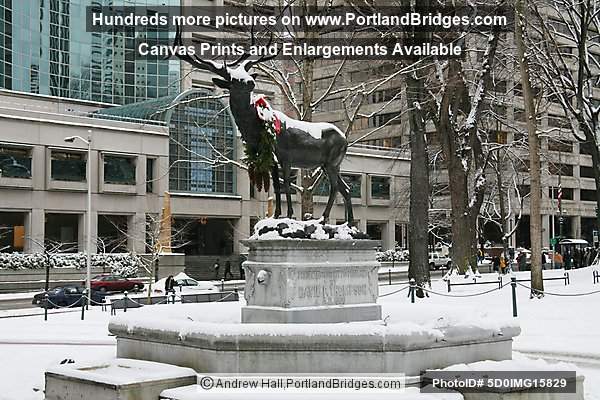Thompson Elk Statue, in the Snow, Portland