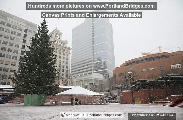 Portland Snow, 2008, Pioneer Court House Square, Christmas Tree