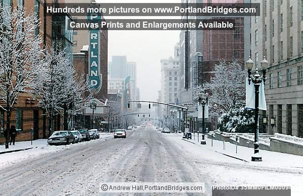 Portland Street Scenes, Portland Snow