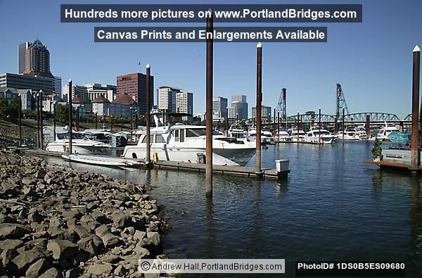 Riverplace Marina, Daytime (Portland, Oregon)