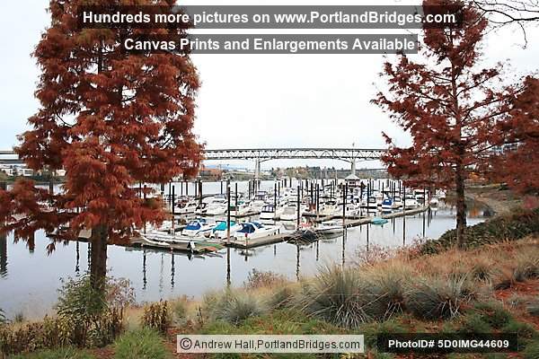 Riverplace Marina, Tom McCall Waterfront Park (Portland, Oregon)