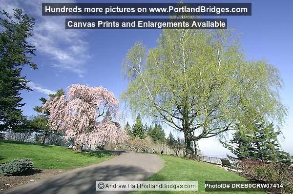 Pittock Mansion Grounds (Portland, Oregon)