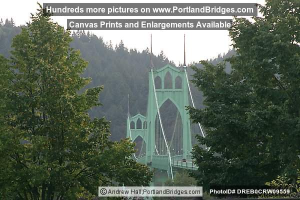 St. Johns Bridge Through the Trees (Portland, Oregon)