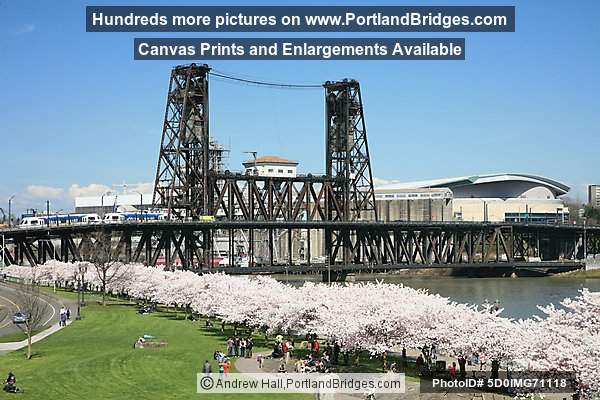 Waterfront Blossoms, Steel Bridge (Portland, Oregon)