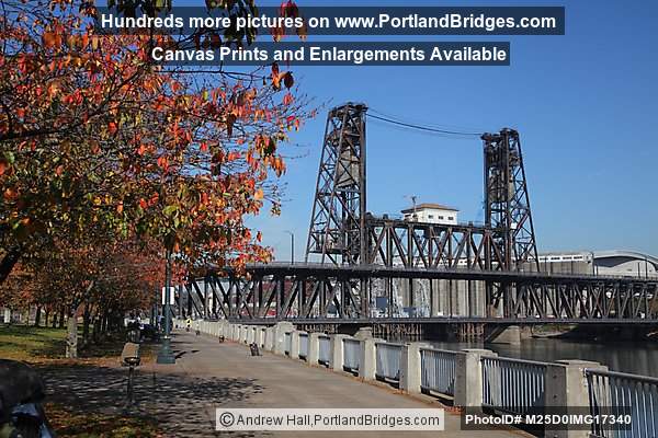Steel Bridge, Fall Leaves, Tom McCall Waterfront Park, Portland