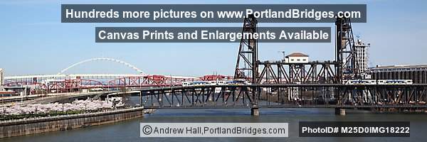 Portland Steel Bridge, Waterfront Cherry Blossoms, Panorama