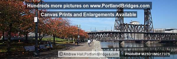 Steel Bridge, Fall Leaves, Panorama (Portland, Oregon)