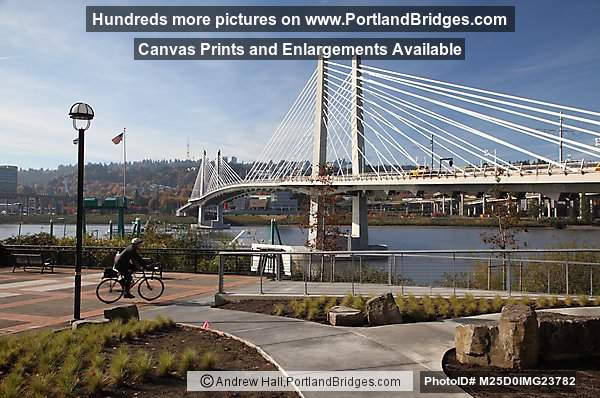 Tilikum Crossing (Portland, Oregon)