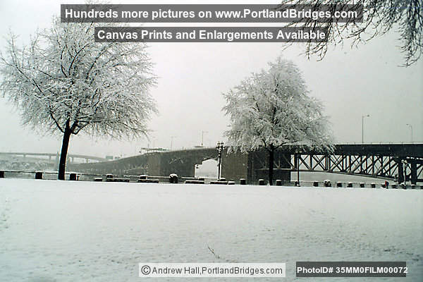 Tom McCall Waterfront Park, Morrison Bridge, Portland Snow