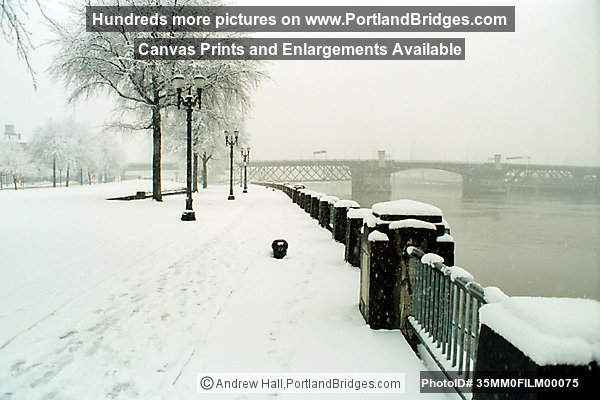 Waterfront Park, Burnside Bridge in the Snow (Portland, Oregon)