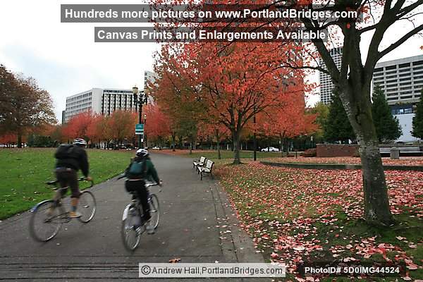 Tom McCall Waterfront Park, Fall Leaves, Cyclists (Portland, Oregon)