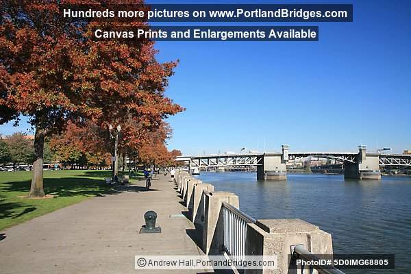 Tom McCall Waterfront Park, Fall Leaves, Morrison Bridge (Portland, Oregon)