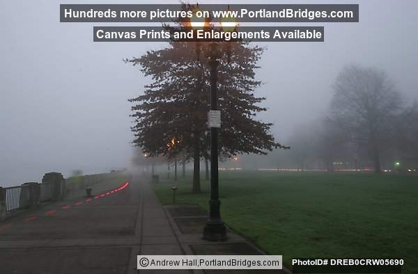 Tom McCall Waterfront Park, Daybreak, Foggy (Portland, Oregon)