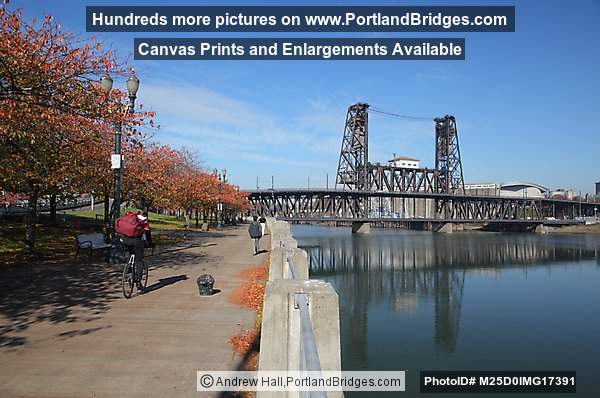 Steel Bridge, Willamette River Reflection, Tom McCall Waterfront Park, Portland