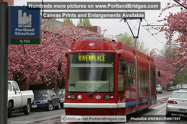 Portland Streetcar, Spring Blossoms, Rain
