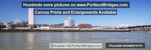 Willamette River, Waterfront Blossoms, MAX Train, US Bancorp Tower (Portland, Oregon)
