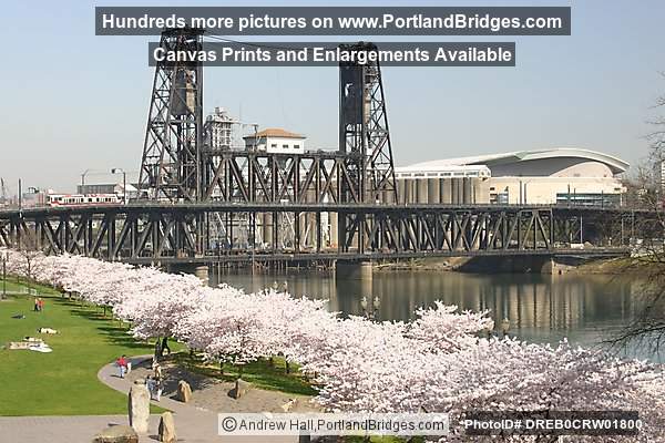 Spring Blossoms, Waterfront Park, Steel Bridge (Portland, Oregon)