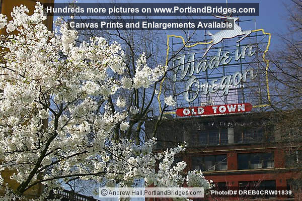 Made In Oregon Sign, Spring Blossoms (Portland, Oregon)