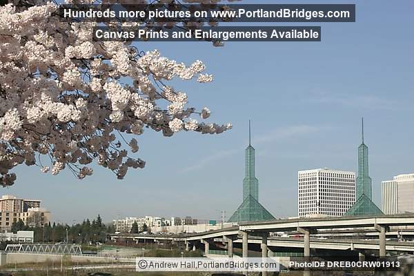 Waterfront Blossoms, Oregon Convention Center (Portland, Oregon)