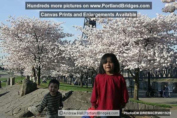 Kids Waterfront Park, Spring Blossoms (Portland, Oregon)